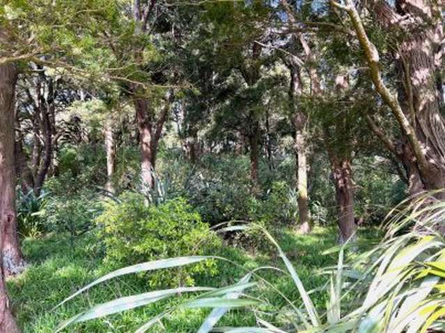 341 Maharahara Road Dannevirke_1