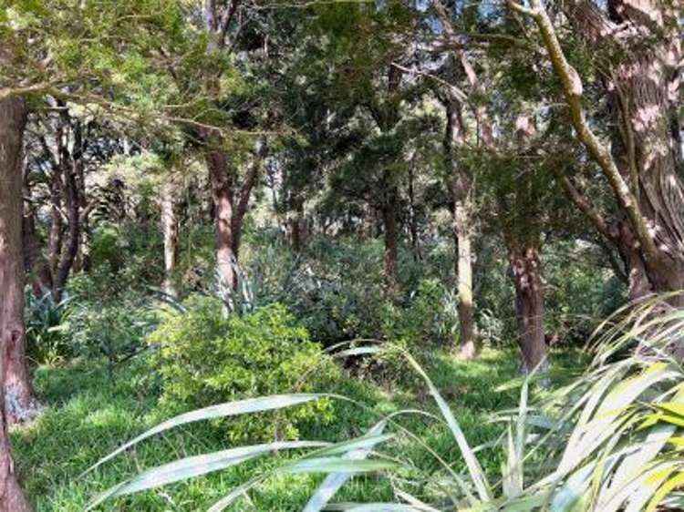 341 Maharahara Road Dannevirke_1