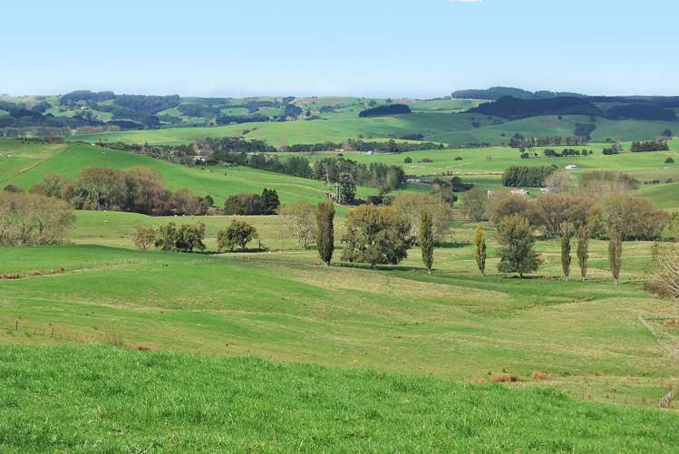 Kaiwaka-Mangawhai Road Kaiwaka_11