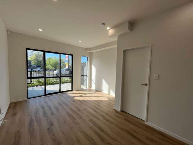 Elliot Street Papakura_2