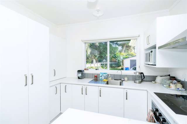 6 Teddy Street Whitiora_4
