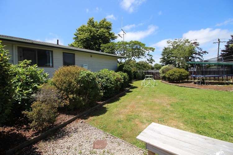 15 Wilson Street Bulls_37