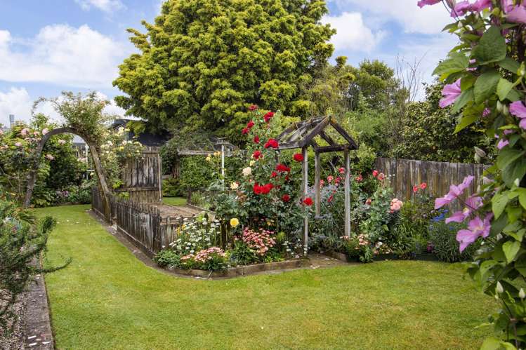 58 Adams Street Waihi_15