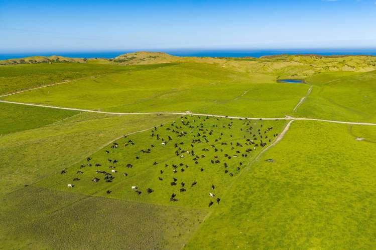 559 Mahuta Road Dargaville_25