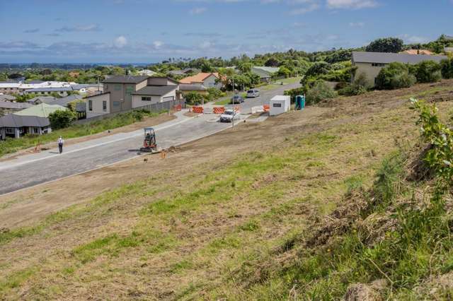 Kakariki Grove Waikanae_2