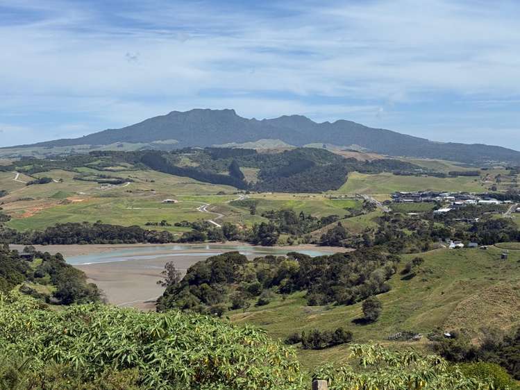 159 Hills Road Raglan_11