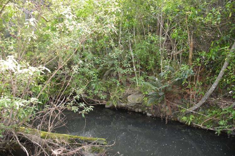 50 Le Bons Valley Road Le Bons Bay_6