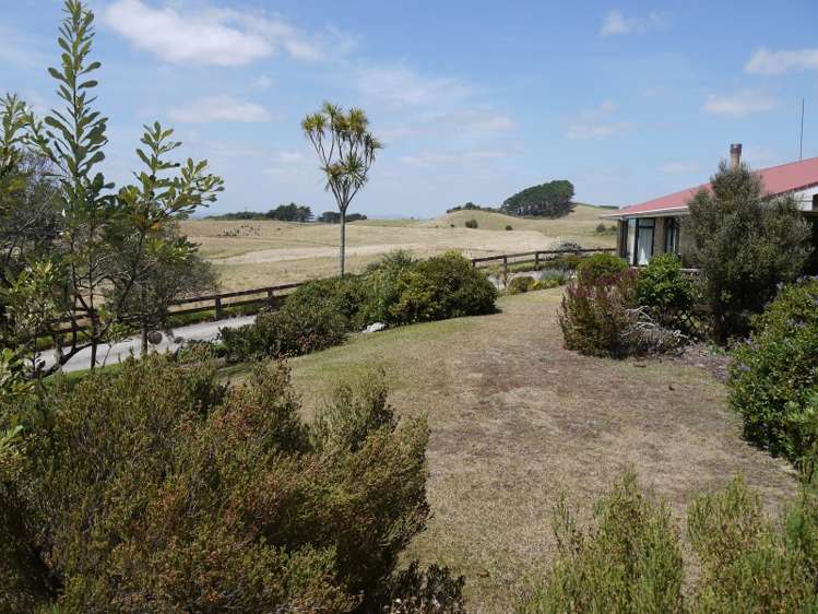 817 Baylys Coast Road Dargaville Surrounds_16