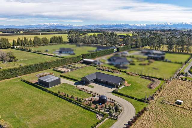 Auction - a lifestyle worth chasing