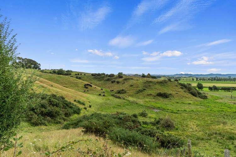 54 O'Brien Road Rotokauri_21