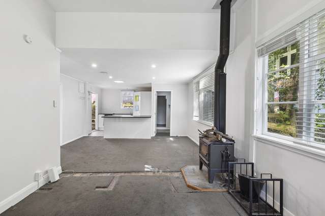 39 Mortimer Terrace Aro Valley_1