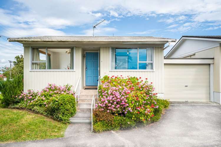 1/7 Willerton Avenue New Lynn_5