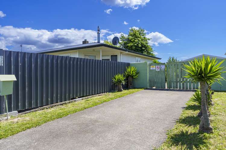 522 Lowe Street Camberley_17