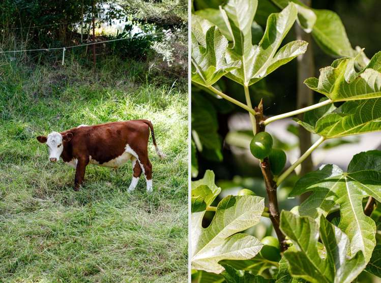 130b Murphy Road Whakatane_22