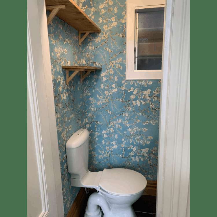 5 Devon Street Aro Valley_11