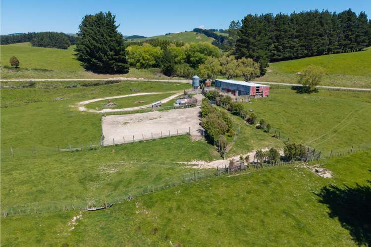129 Speedy Road Dannevirke_2