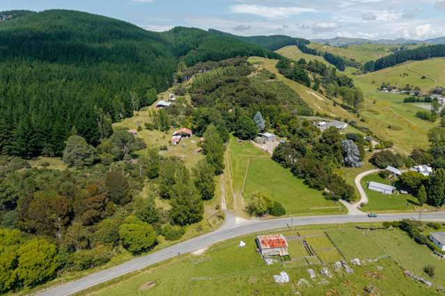 1/4101 Masterton Castle Point Rd, Tinui Masterton_4