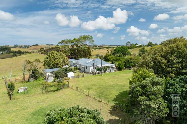 279 Fordyce Road Helensville_40