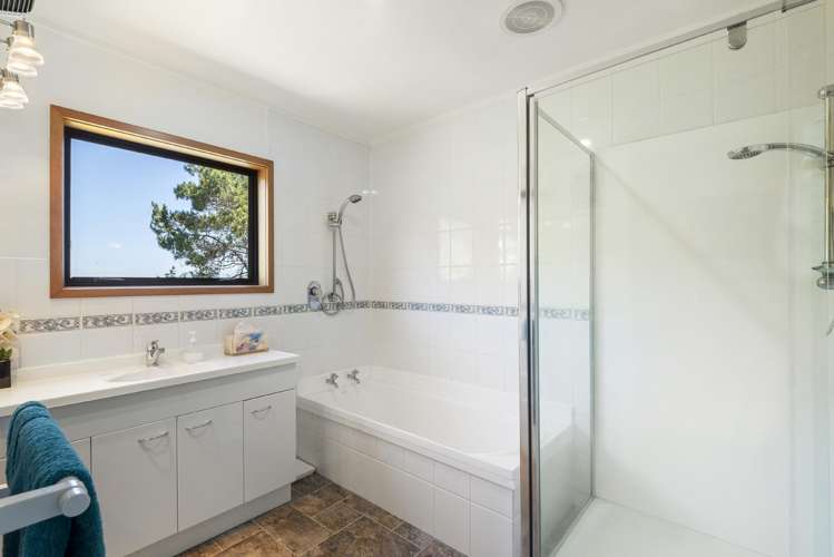 208 Albany Heights Road Albany Heights_13