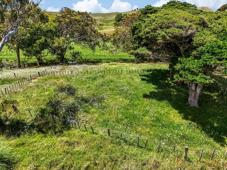 603 Te Akau South Road Te Akau_10
