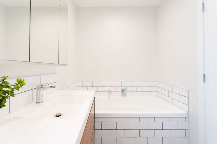 7 Vampire Road Waldronville_17