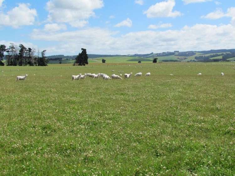 734 Crichton Road Milton_29