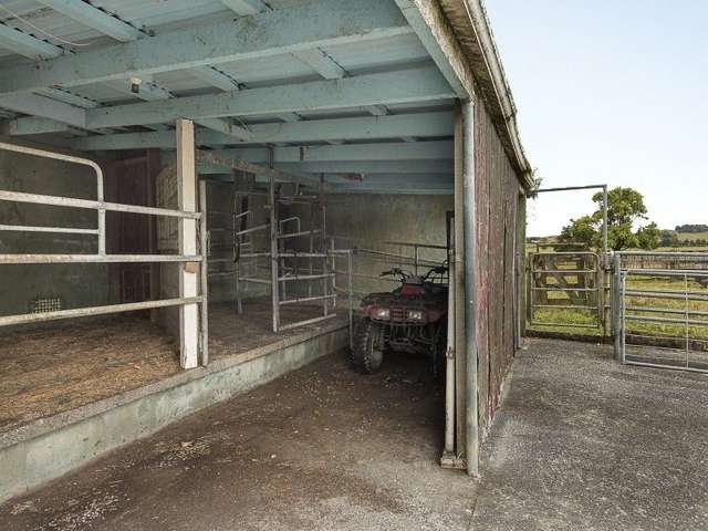 214a Kaipo Flats Road Onewhero_4