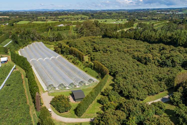 44 Walker Road West Aongatete_27