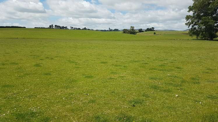 259 Kaihiku Church Road Clinton and Surrounds_11