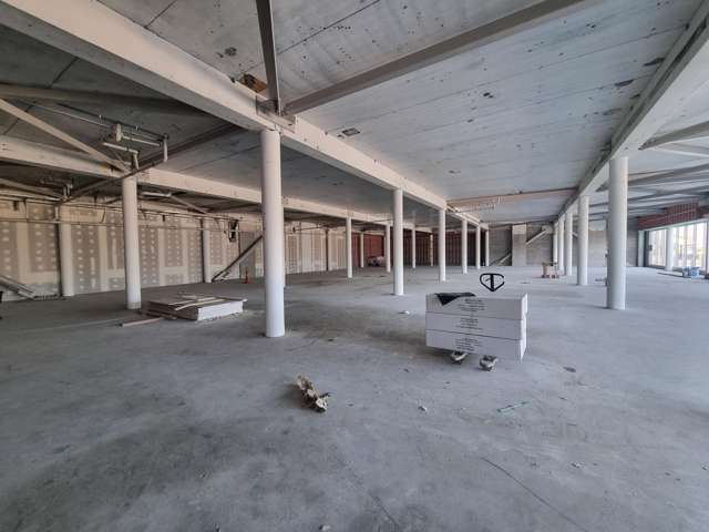 81 The Esplanade Petone_3