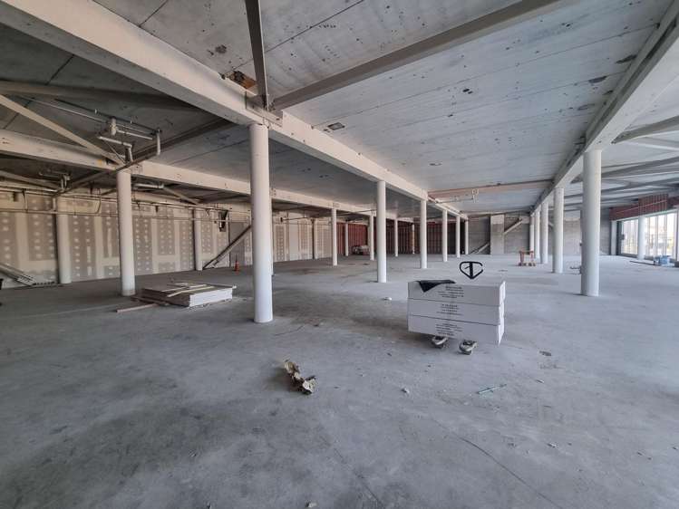 81 The Esplanade Petone_3