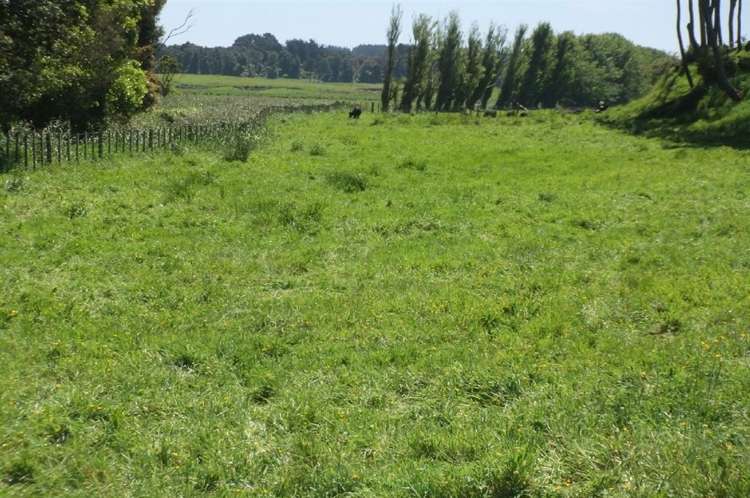 24 Ryland Park Levin_7