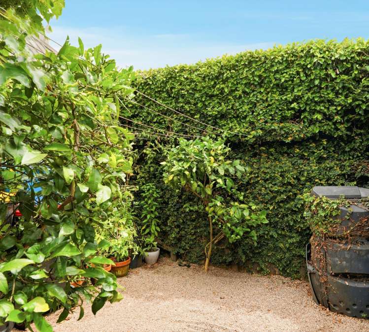 38 Stephens Place Hairini_34