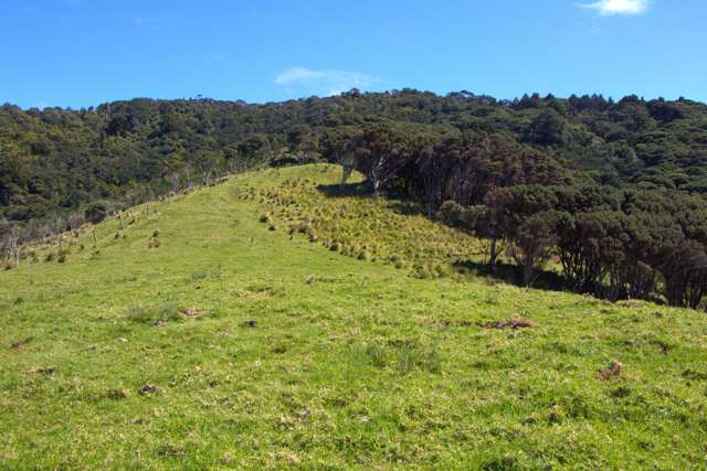 97 Medland Road Great Barrier Island (Tryphena)_2