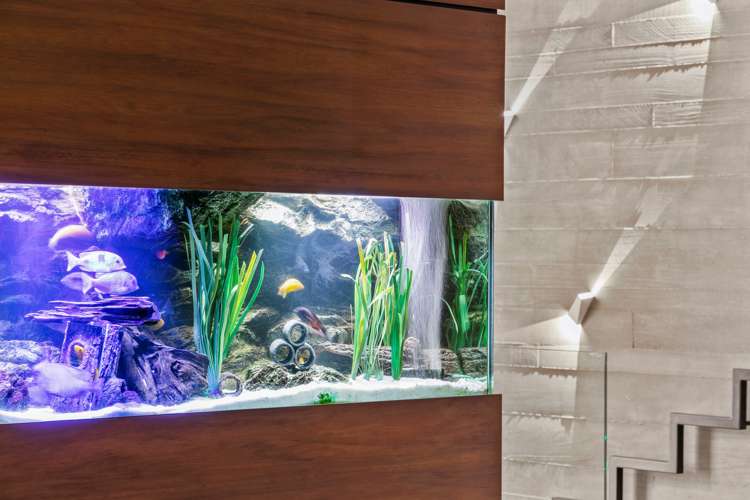 192 Marine Parade Mount Maunganui_18