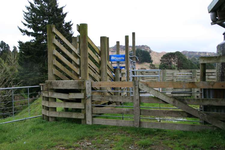 200 Tahora Road Tahora_16