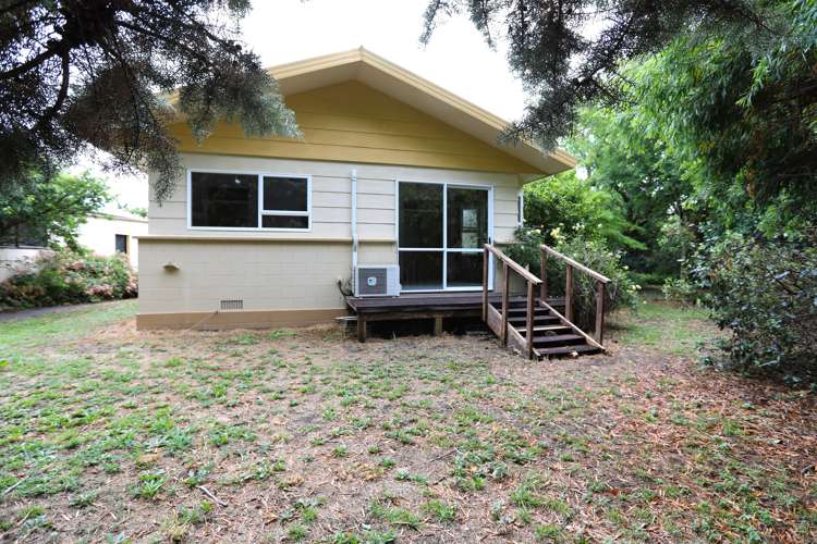 40 Alma Street Renwick_16