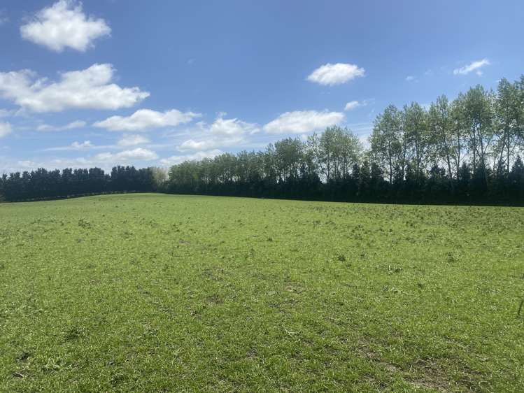 711 Brockley Road Rosewill_14