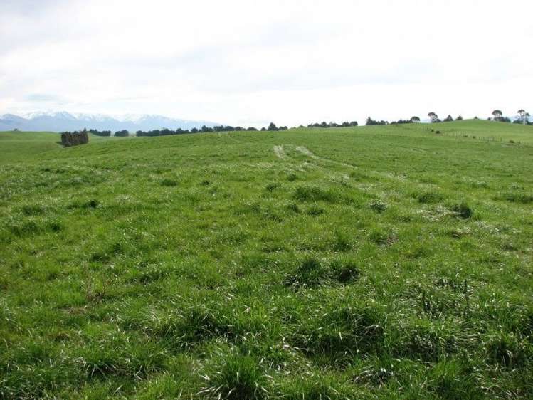 62 Harveys Road Island Cliff_19