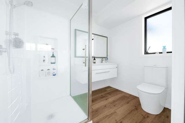 411 Tuhikaramea Road Temple View_3