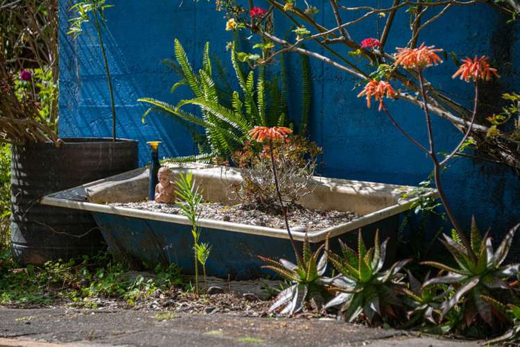 370 Fordyce Road Helensville_45