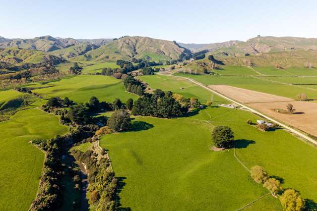 99 Surreydale Road Pahiatua_2