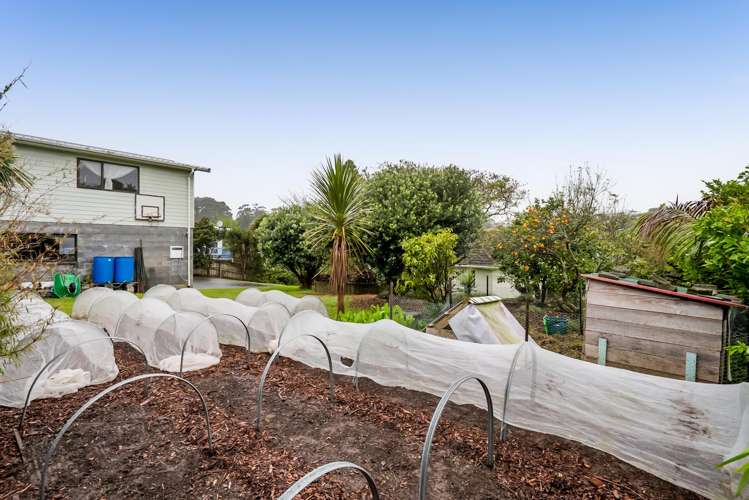 54 Waimea Street Westown_18