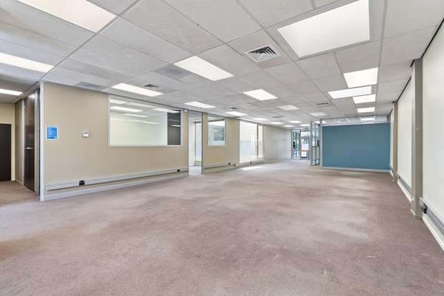 17 Clifton Road Hamilton City Central_4