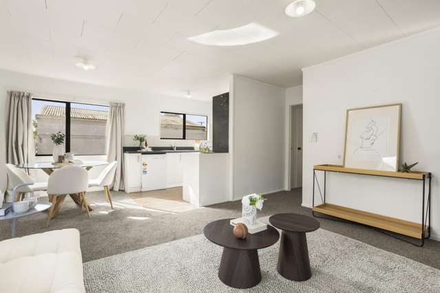 27A Wellington Street Hamilton East_3