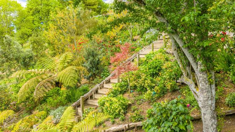 27C Nelson Street Waipukurau_17