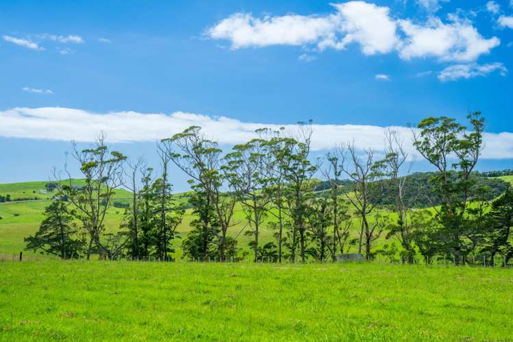 292 Taiharuru Road Taiharuru_6