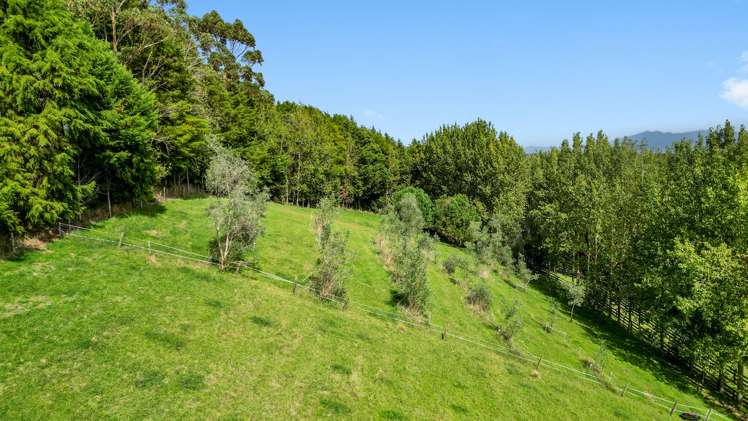 38 Taitua Road Temple View_34