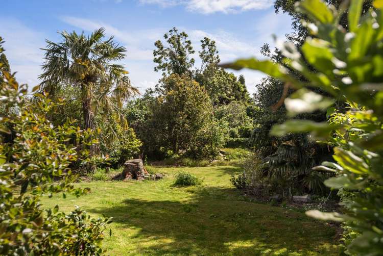 38 Towers Street Paeroa_22