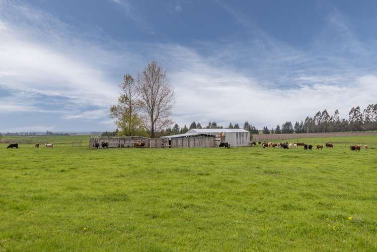 Mclennans Bush Road Methven_12